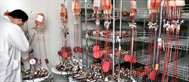 Blood transfusion still has associated risks